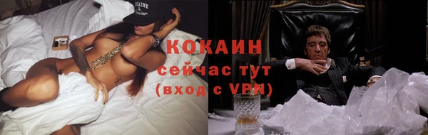 соль курить ск Алзамай