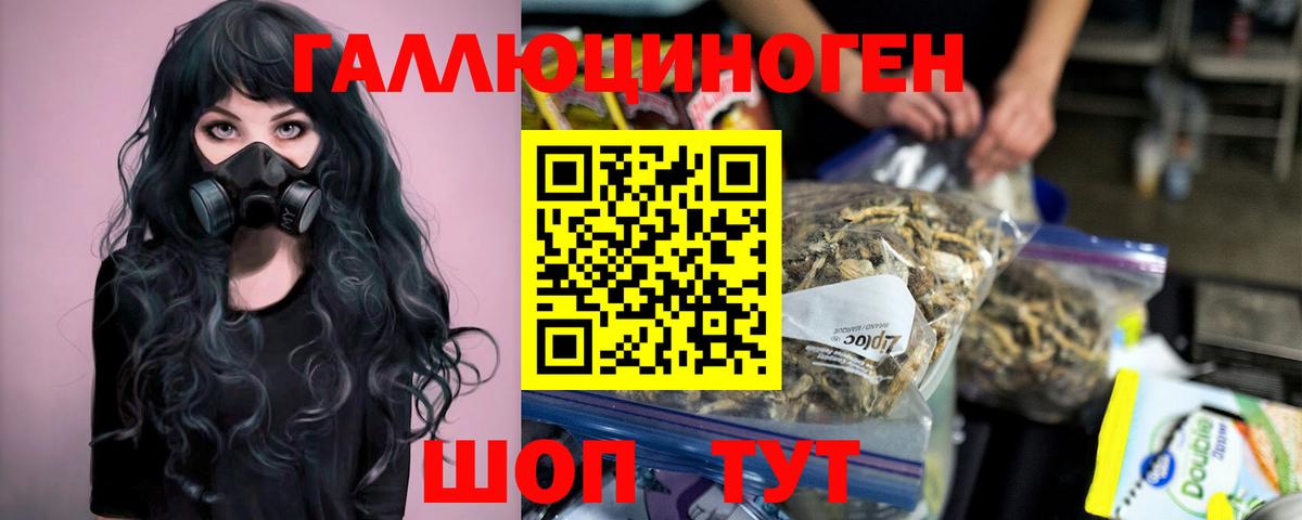 Галлюциногенные грибы Psilocybine cubensis Севастополь